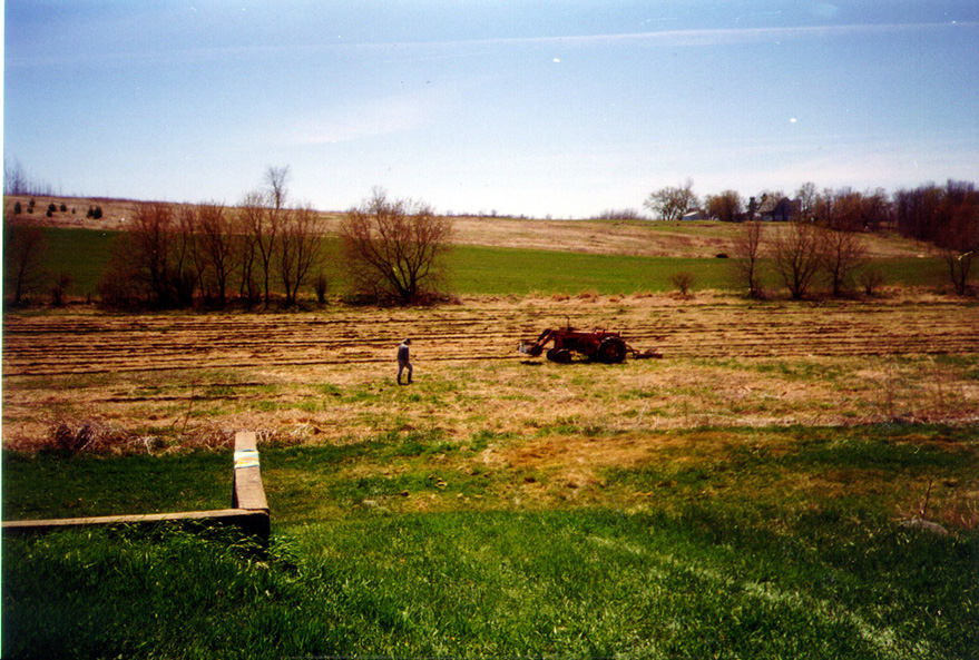 big field