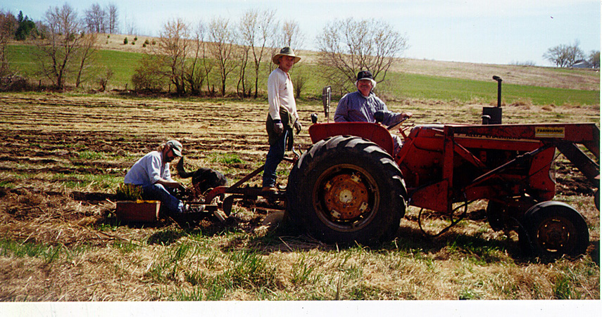 planting