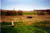 big field
