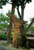 wood2